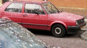 Rode auto’s vaakst slachtoffer van vogelpoep