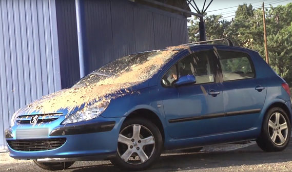 Rémi Gaillard heeft schijt aan je schone auto